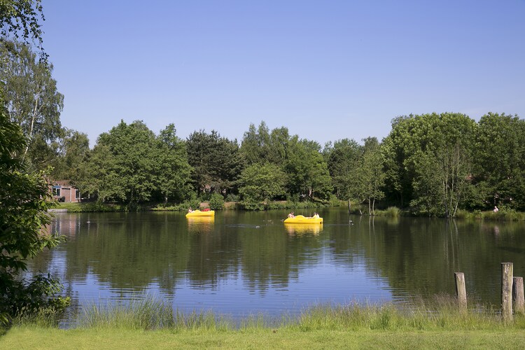 Vakantiepark Weerterbergen 5