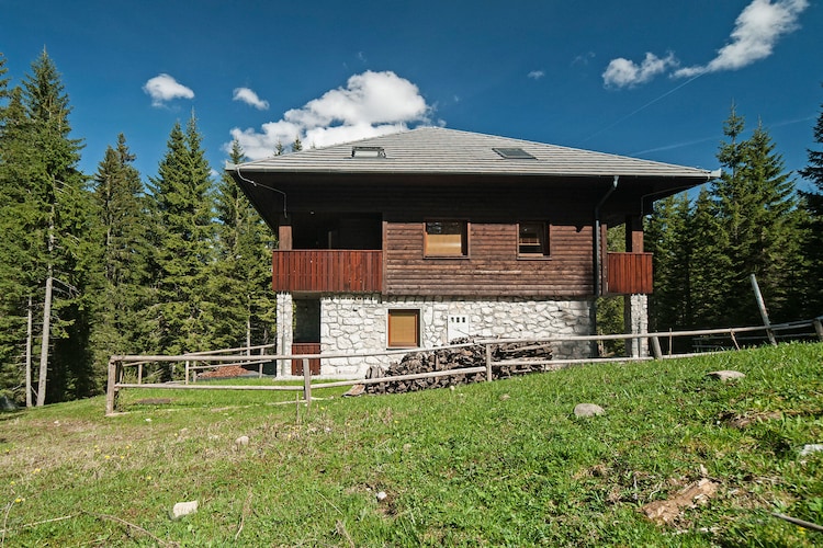 Apartment Zajec