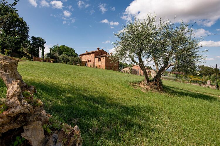 Villa provinciale à Cortona (en Toscane), avec piscine