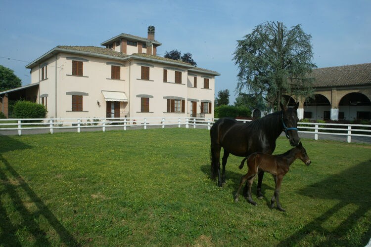 Villa Italië, Emilia-romagna, Noceto Villa IT-00028-84