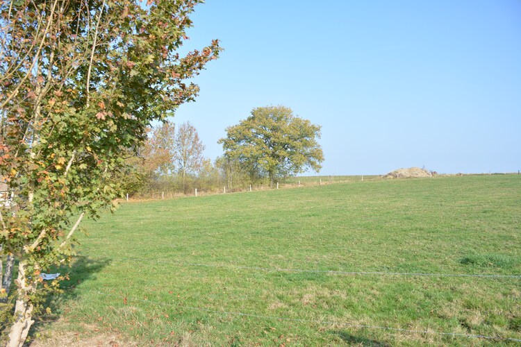 La Sérénade