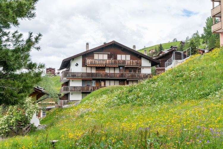 Vakantiehuizen Zwitserland | Jura | Vakantiehuis te huur in Grachen   met wifi 4 personen
