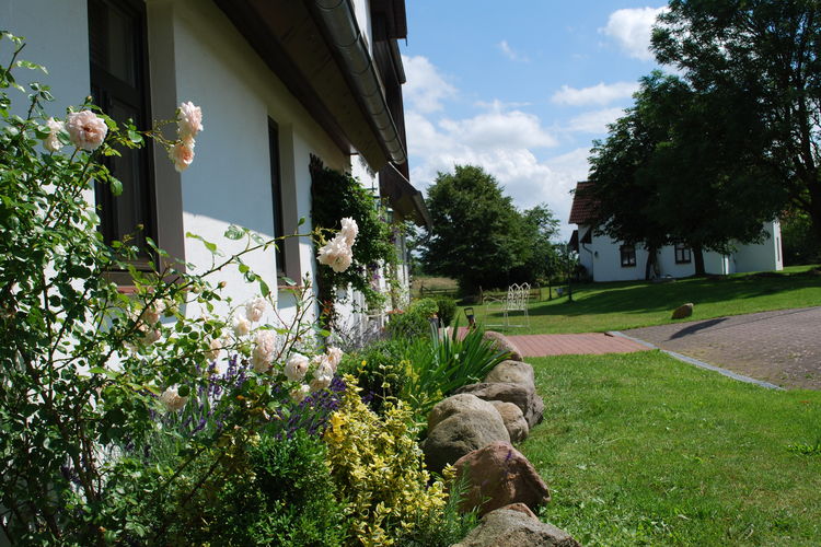Vakantiehuizen Duitsland | Ostsee | Vakantiehuis te huur in Barlin met zwembad  met wifi 12 personen