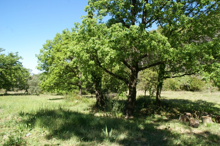 La Chiroquoise