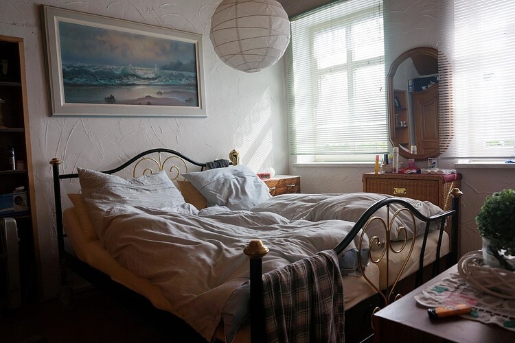 Bild 42 Bild 42