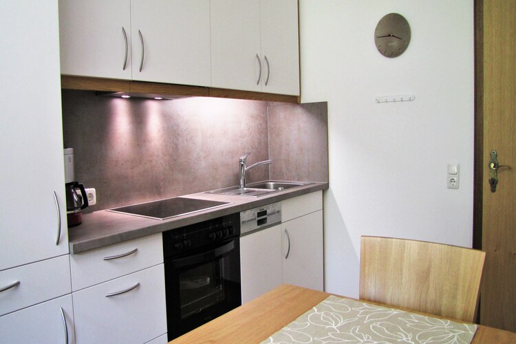 Appartement Oostenrijk, Vorarlberg, Dalaas Appartement AT-6752-12