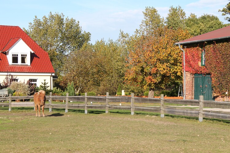 Ferienhof Am Leuchtturm 1-4 - Landhaus Für 14 Pers