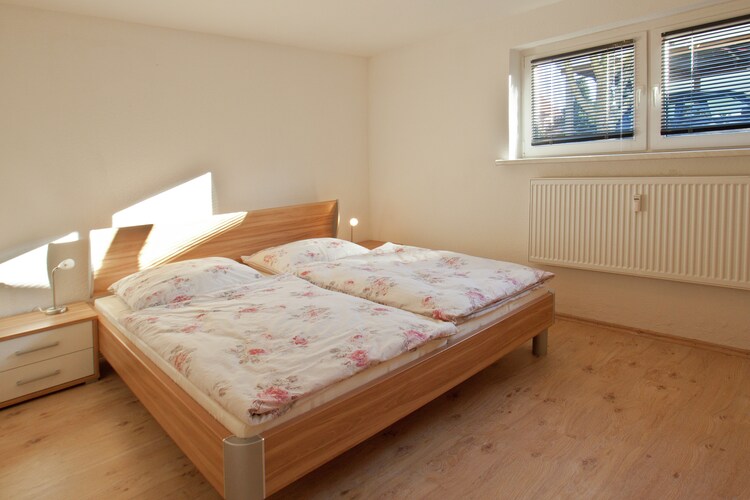 Zwei Seesterne XL