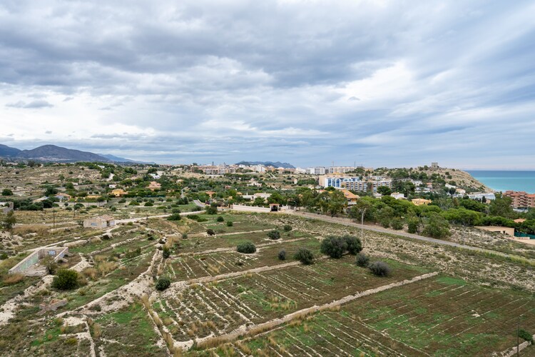 Joyosa
