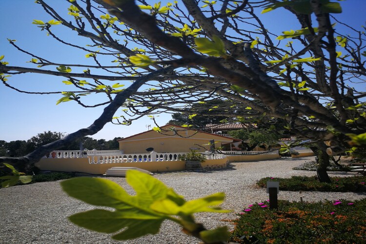 Beautiful Guesthouse