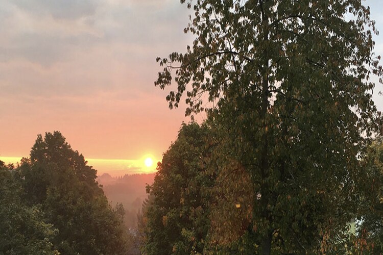 Bild 53 Bild 53