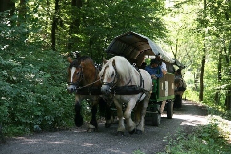 Bild 40 Bild 40
