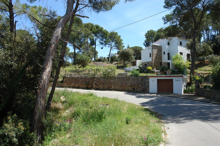 Casa Rey