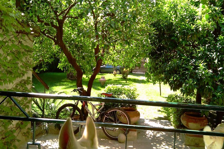Ferienhaus Beautiful house in Aghios Konstantinos (2753392), Ayios Konstandinos Fthiotis, , Zentralgriechenland, Griechenland, Bild 25