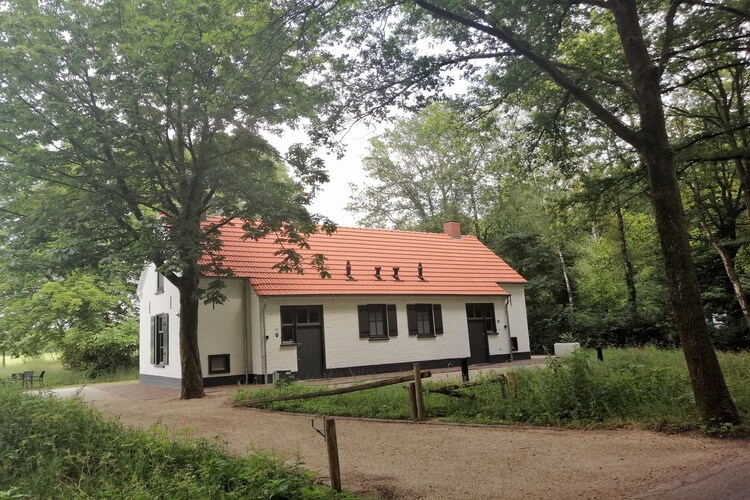 Bosbeertje 45
