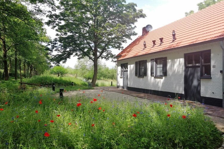 Bosbeertje 45