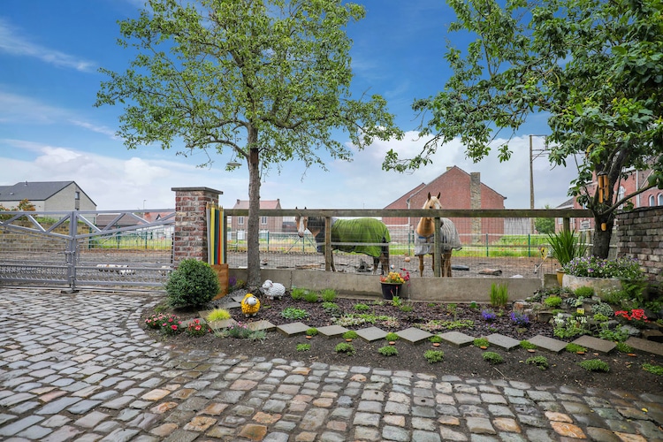 Bij Suus Onder De Wol