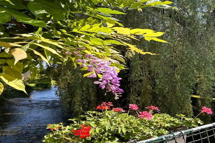 Bligny-sur-Ouche-Gebieden zomer 1km