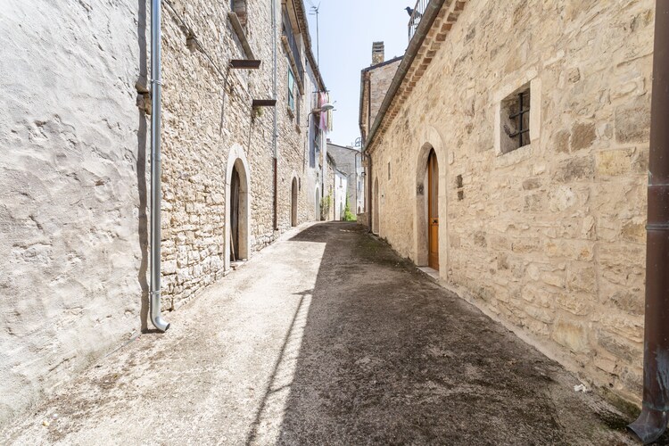 Oleandro 2