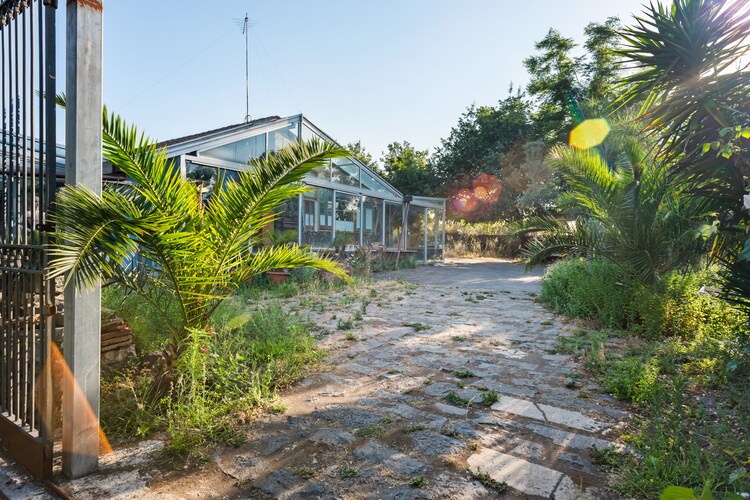 Alma Libre House