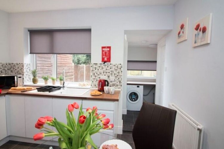 DONCASTER Springfield Apt 3 Robin