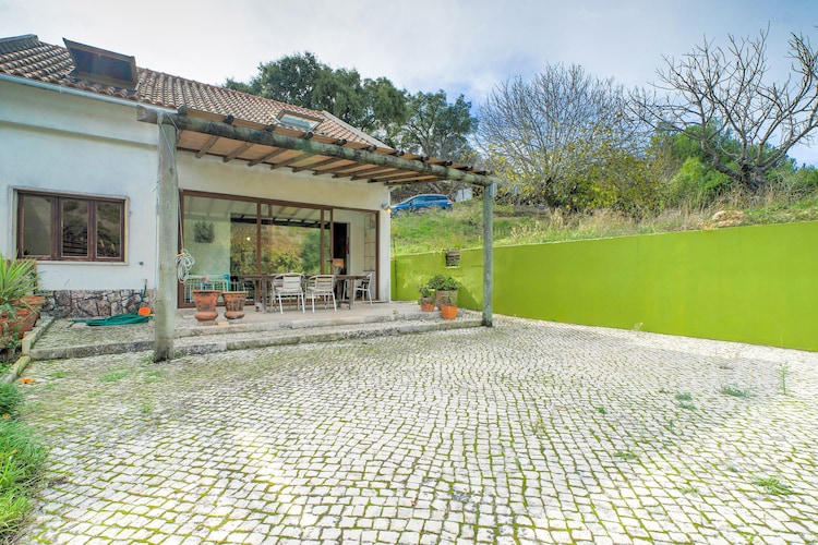 Bright House In The Natural Park