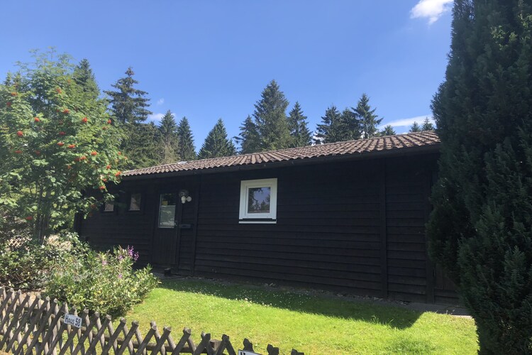 Ferienpark am Waldsee 2 - Haustierfrei