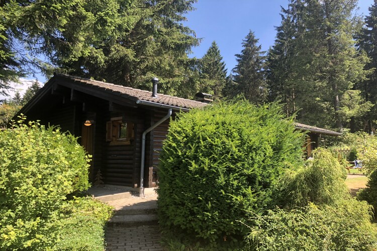 Ferienpark am Waldsee 2 - Haustierfrei