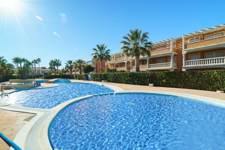 Estrella Blanca Teka