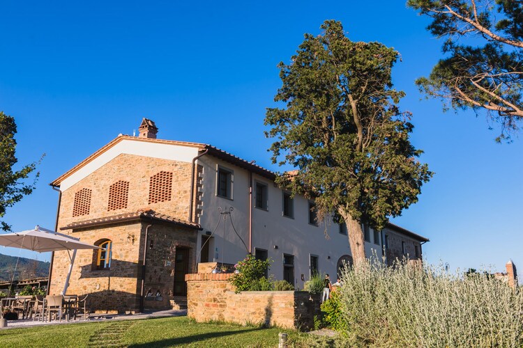 Leccio