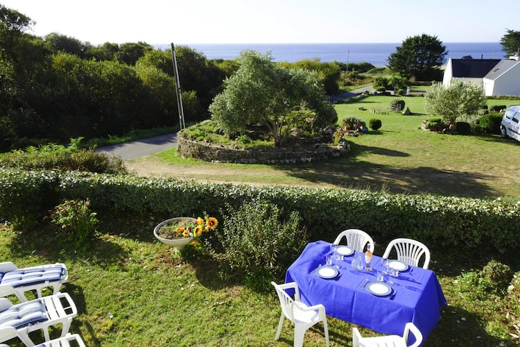 Garden Summer