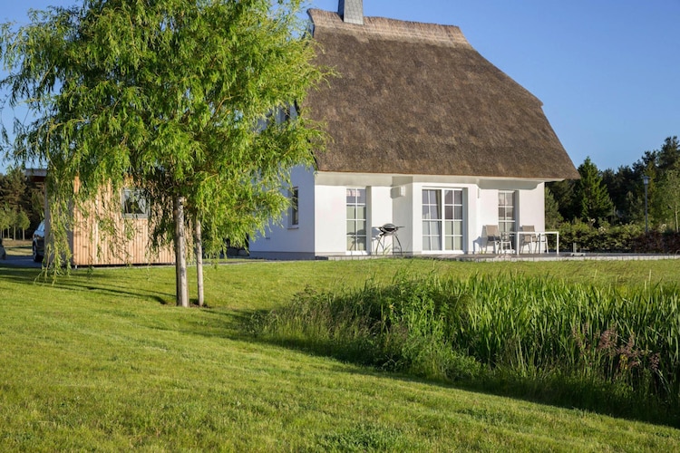 Exterior Summer