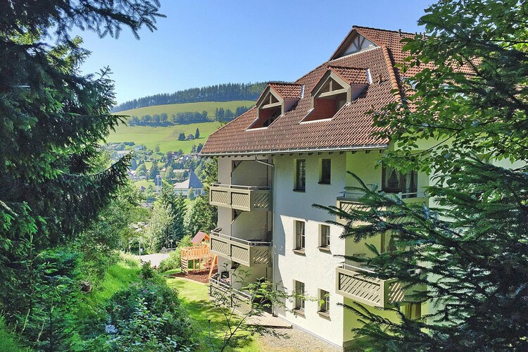 Bild 11 Bild 11