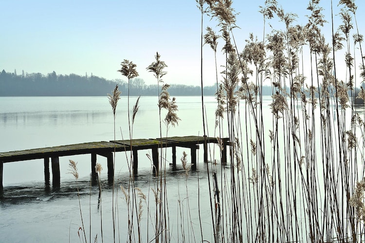 Ferienhaus 30 qm-Terrasse