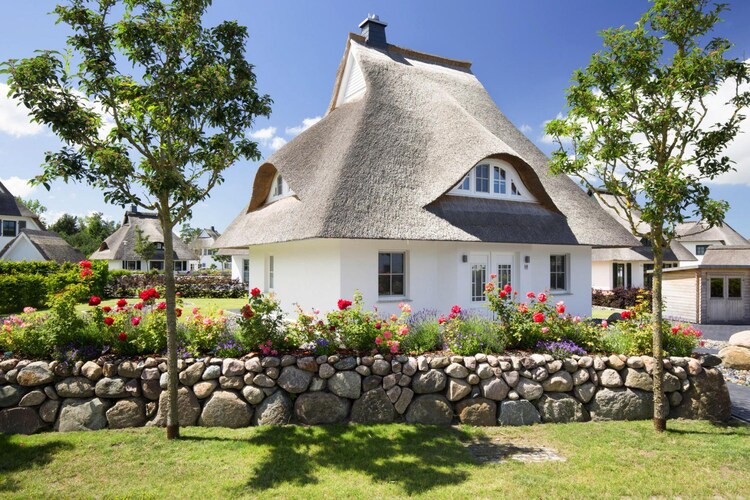 Exterior Summer