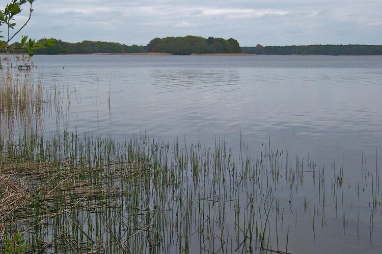 Bild 16