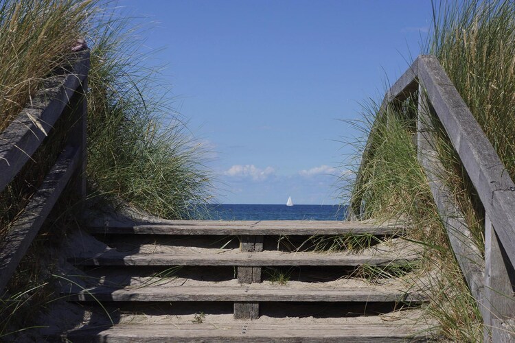 Bild 4 Bild 4