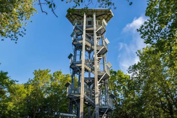 Ferienhaus Lotsenhaus Vieregge-Gebieden zomer 5km