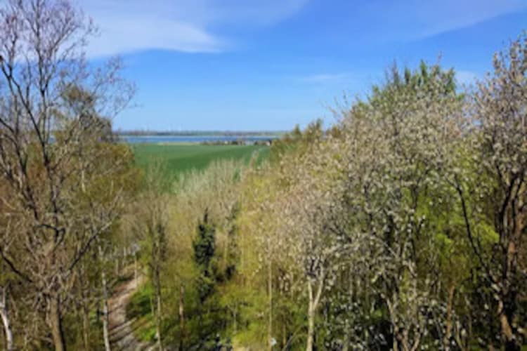 Ferienhaus Lotsenhaus Vieregge-Gebieden zomer 5km