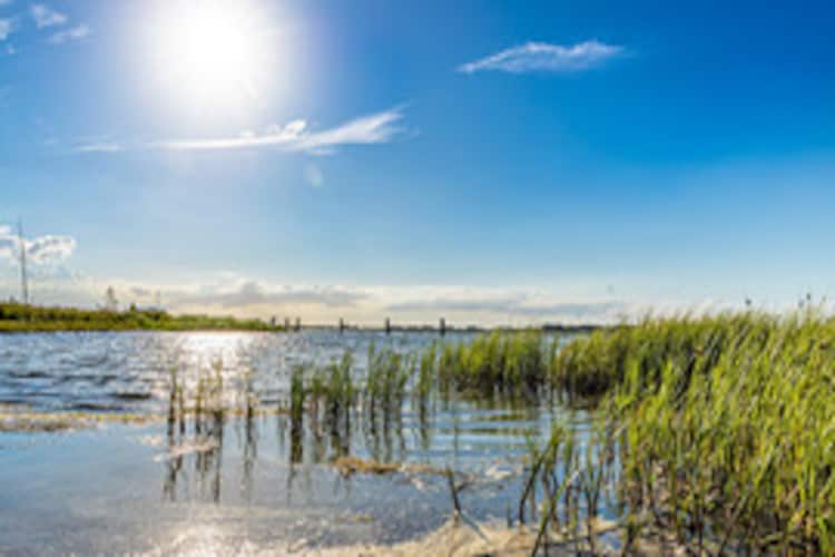 Ferienhaus Lotsenhaus Vieregge-Gebieden zomer 1km