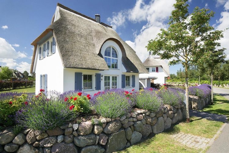 Exterior Summer