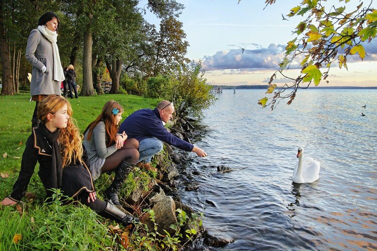 Bild 15