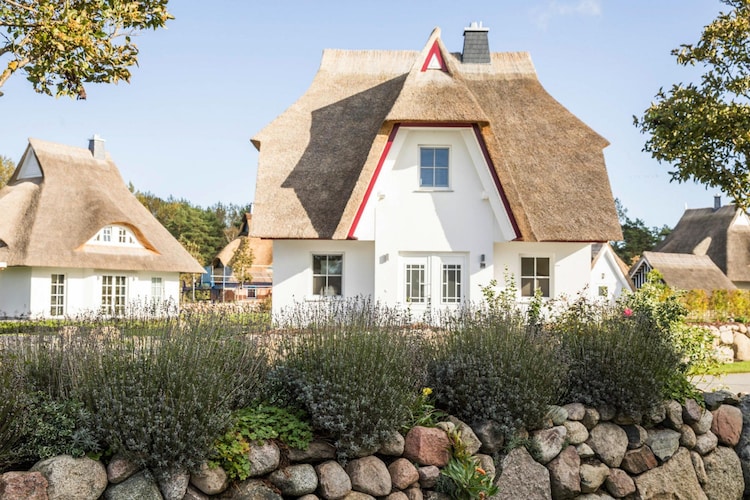 Exterior Summer