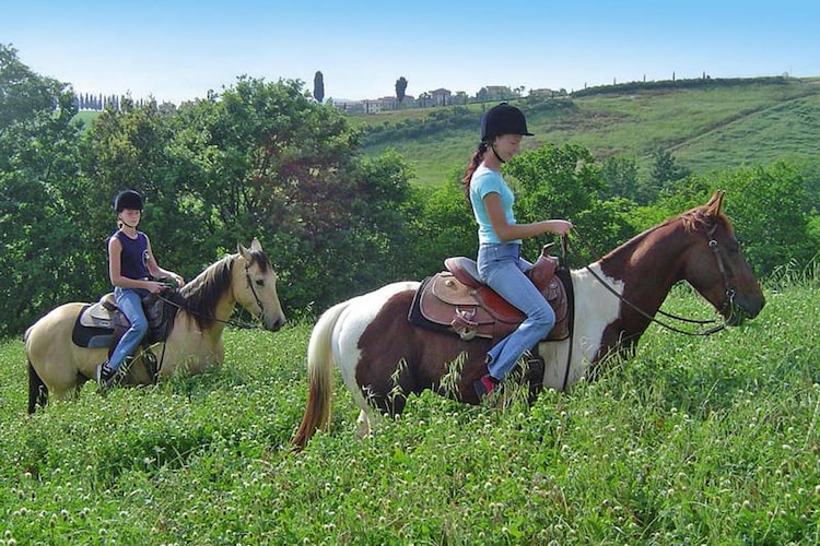 Agriturismo Castellare di Tonda Resort & Spa Montaione-Type A Classic 40 qm, foto 12