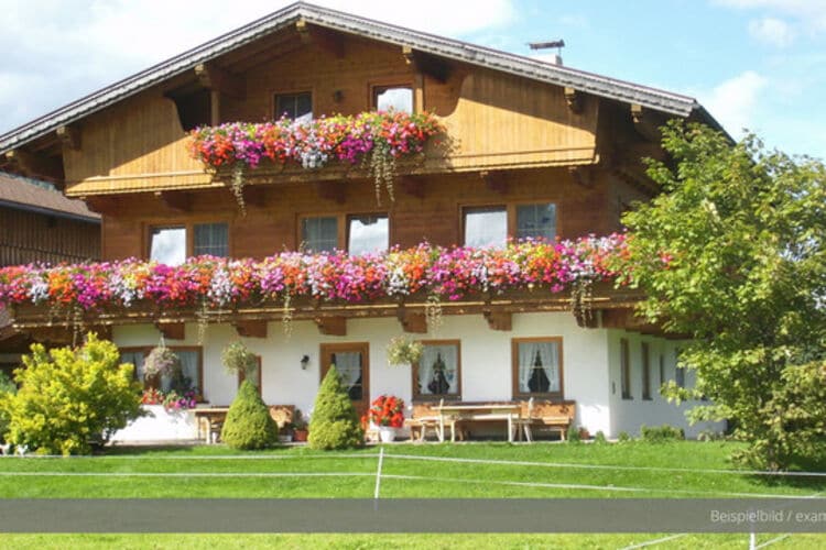 Apartment at the Achensee