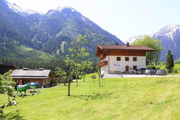 Bild 9 Bild 9