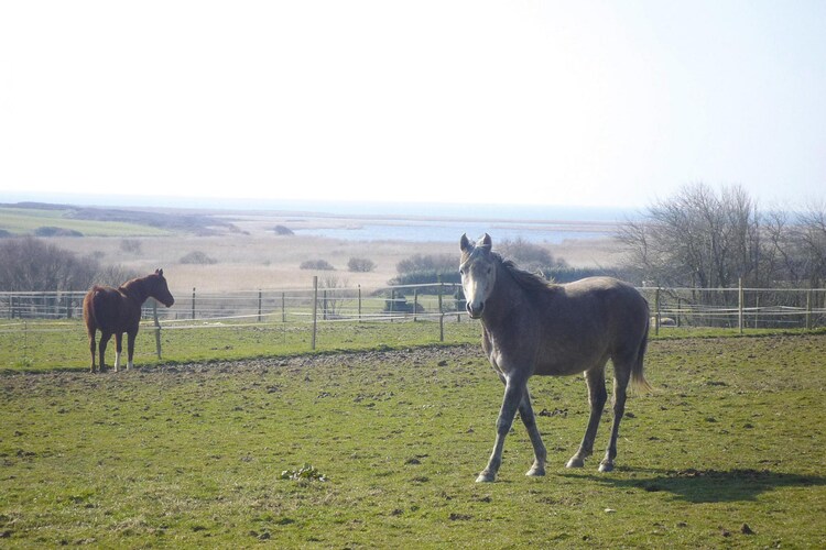 holiday home Plovan, foto 15