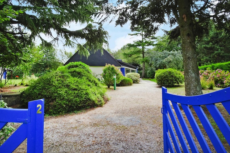 Garden Summer