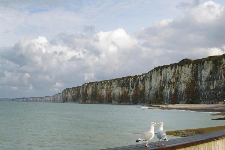 holiday home Sainte-Colombe, foto 15