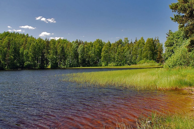 Dom wakacyjny w Częstkowie-Areas within 20km in summer